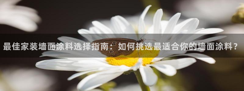 和记(福建)商贸有限公司招聘：最佳家装墙面涂料选择指南：如何挑选最适合你的墙面涂料？