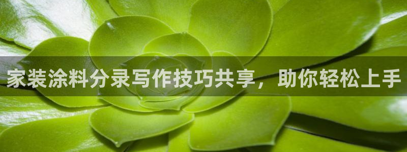 和记下载：家装涂料分录写作技巧共享，助你轻松上手