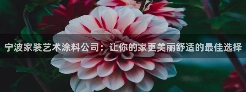 和记国际开户网站