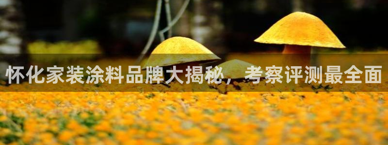 和记paging