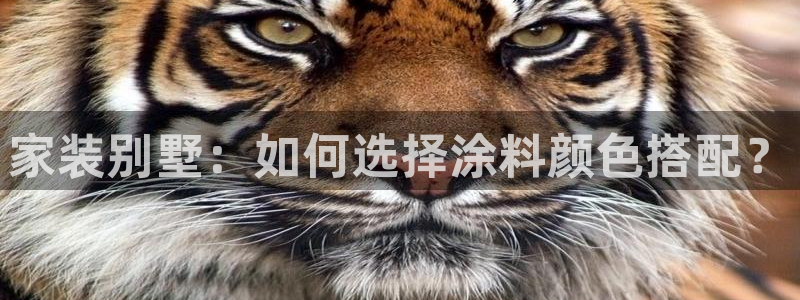 上海和记餐饮：家装别墅：如何选择涂料颜色搭配？