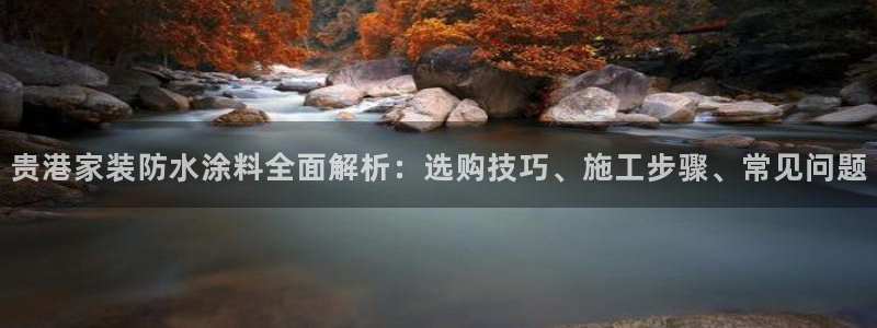 和记国际