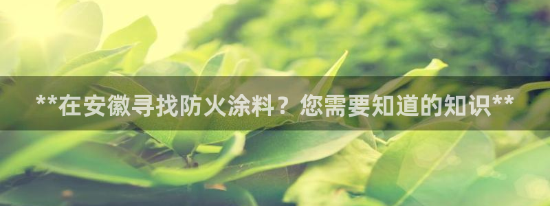 和记ag旗舰厅app