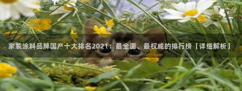 和记h188：家装涂料品牌国产十大排名2021：最全面、最权