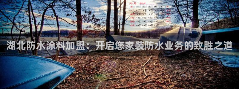 和记港口：湖北防水涂料加盟：开启您家装防水业务的致胜之道