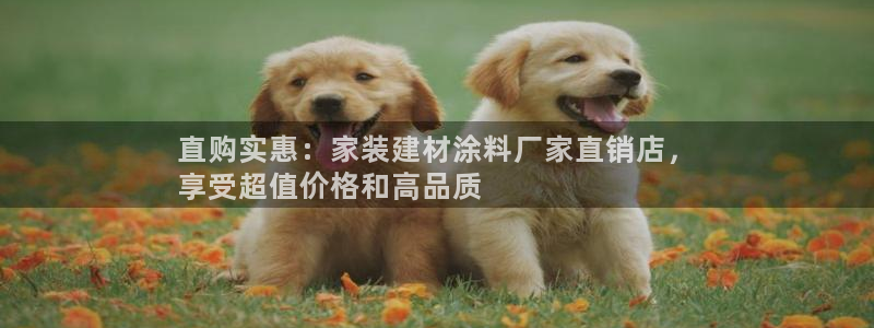 和记国际开户：直购实惠：家装建材涂料厂家直销店，
享受超值价格和高品质
