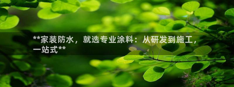 和记官网[中国]官方网站：**家装防水，就选专业涂料：从研发到施工，
一站式**