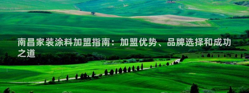 和记官网：南昌家装涂料加盟指南：加盟优势、品牌选择和成功
之道