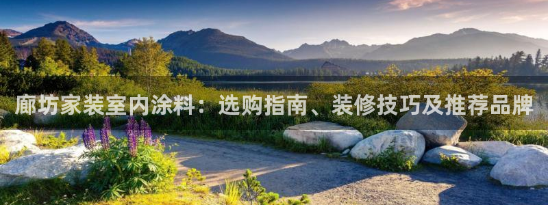 和记平台登陆：廊坊家装室内涂料：选购指南、装修技巧及推荐品牌