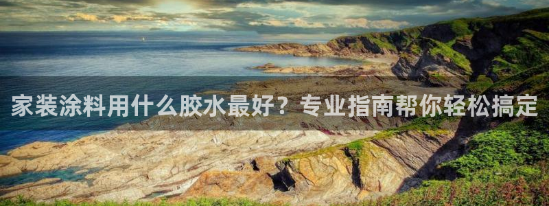 和记最新官方网址：家装涂料用什么胶水最好？专业指南帮你轻松搞
